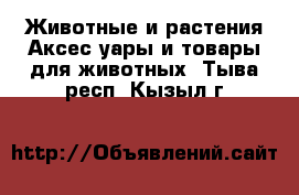 Животные и растения Аксесcуары и товары для животных. Тыва респ.,Кызыл г.